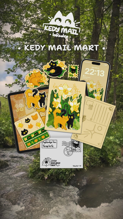Kedy Mail - Mart